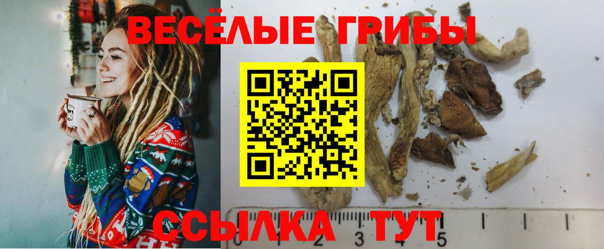 Кувандык  Галлюциногенные грибы Psilocybe  Вход с VPN 